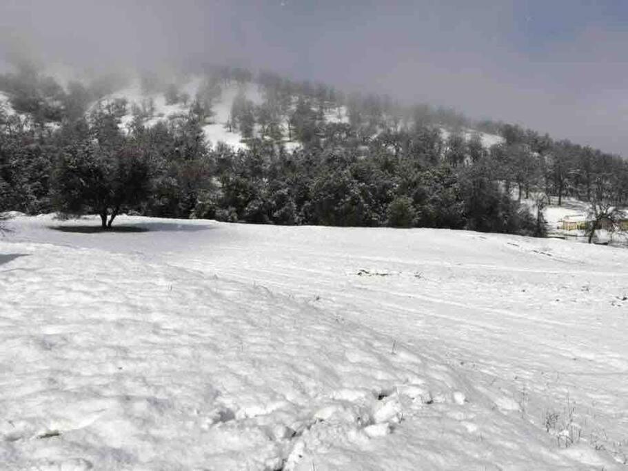 Waxberry Getaway Sequoia/Kings Canyon National Pks Скуо Вали Екстериор снимка