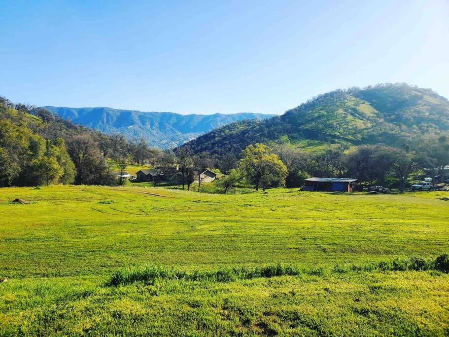 Waxberry Getaway Sequoia/Kings Canyon National Pks Скуо Вали Екстериор снимка